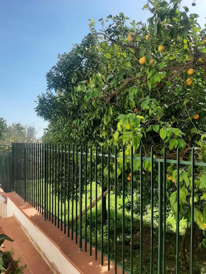 Villa Vesuvius Νάπολη Εξωτερικό φωτογραφία